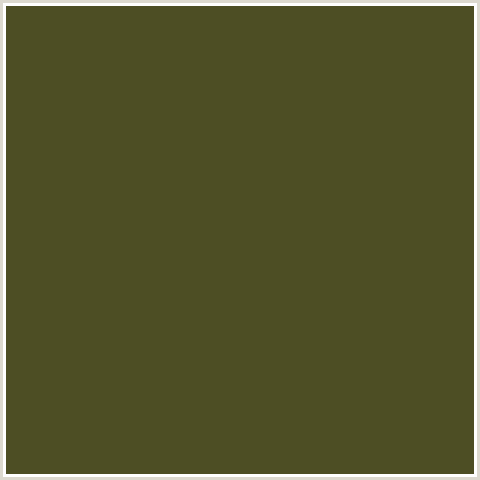 4D4E24 Hex Color Image (WOODLAND, YELLOW GREEN)