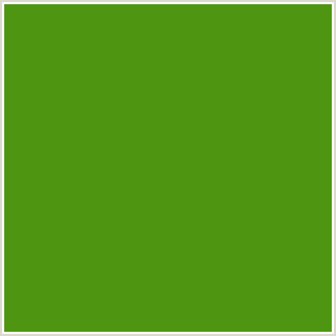 4E9612 Hex Color Image (FOREST GREEN, GREEN, VIDA LOCA)