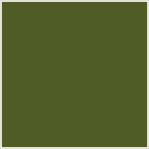 4F5C25 Hex Color Image (GREEN YELLOW, WOODLAND)