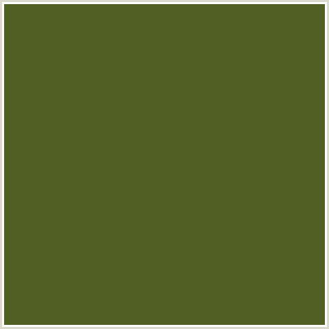 505F23 Hex Color Image (GREEN YELLOW, WOODLAND)