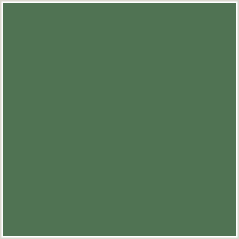 507353 Hex Color Image (CACTUS, GREEN)