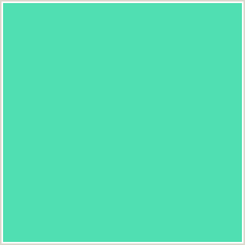 50DFB2 Hex Color Image (BLUE GREEN, TURQUOISE)