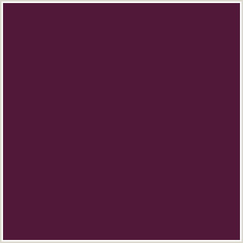 521839 Hex Color Image (DEEP PINK, FUCHSIA, FUSCHIA, HOT PINK, MAGENTA, WINE BERRY)