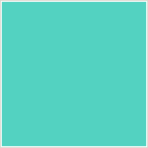 53D2C1 Hex Color Image (BLUE GREEN, VIKING)