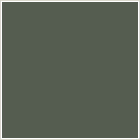 555D50 Hex Color Image (GREEN, SIAM)