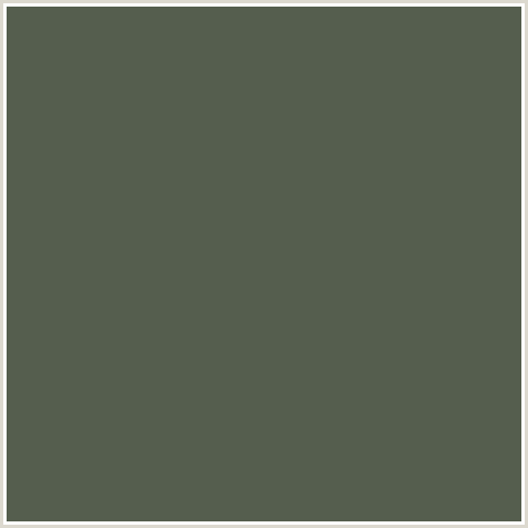 555E4E Hex Color Image (GREEN, SIAM)