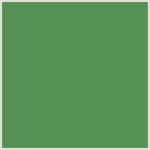 559154 Hex Color Image (GREEN, HIPPIE GREEN)