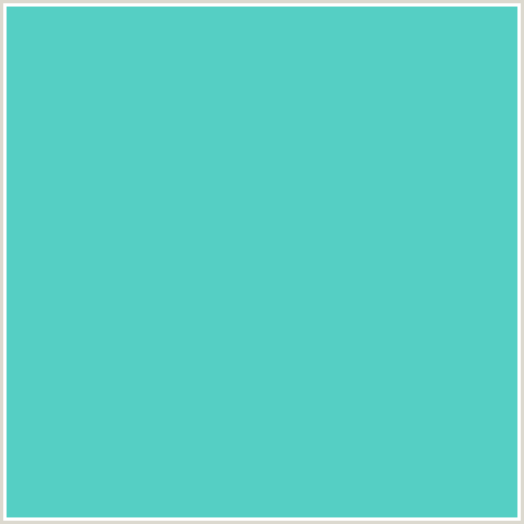 55CFC4 Hex Color Image (AQUA, DOWNY, LIGHT BLUE)