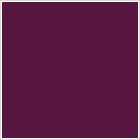 561640 Hex Color Image (DEEP PINK, FUCHSIA, FUSCHIA, HOT PINK, MAGENTA, WINE BERRY)