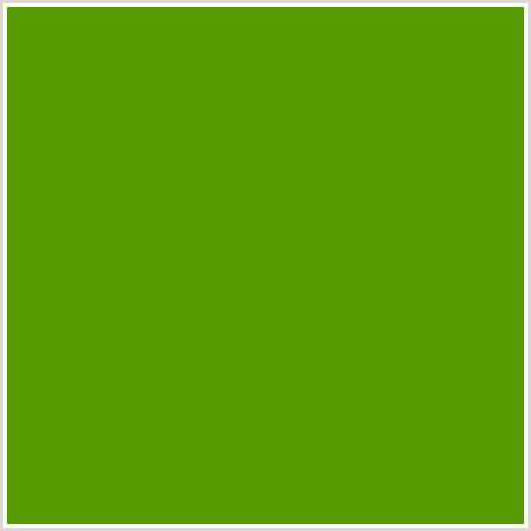 569900 Hex Color Image (GREEN YELLOW, LIMEADE)