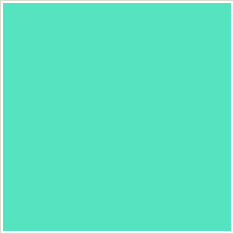 56E3C0 Hex Color Image (BLUE GREEN, TURQUOISE BLUE)