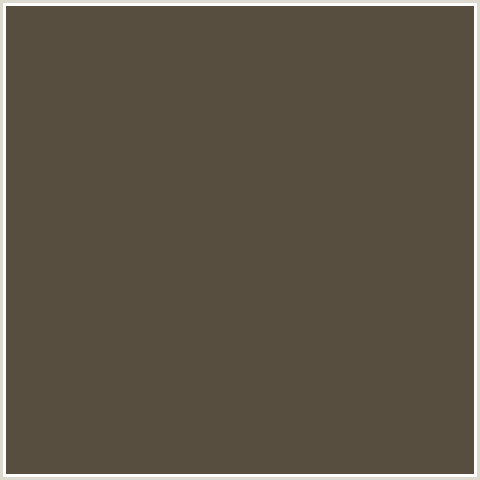 574E3F Hex Color Image (BROWN, KABUL, ORANGE)