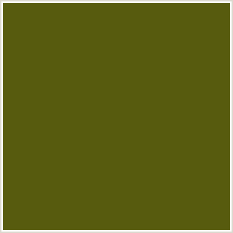 575B0E Hex Color Image (SARATOGA, YELLOW GREEN)