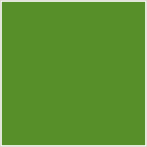 578F29 Hex Color Image (FOREST GREEN, GREEN, OLIVE DRAB)