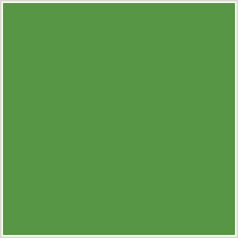 579644 Hex Color Image (APPLE, GREEN)