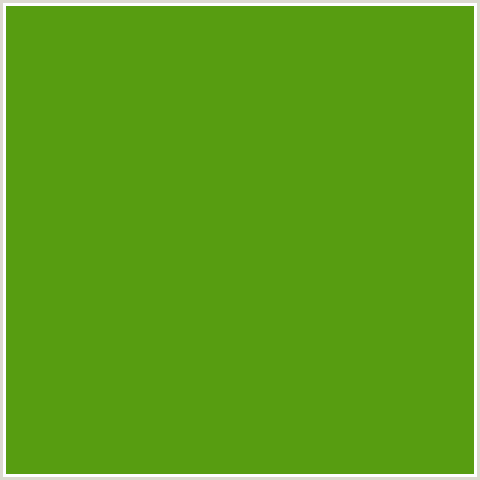 579D11 Hex Color Image (CHRISTI, GREEN)
