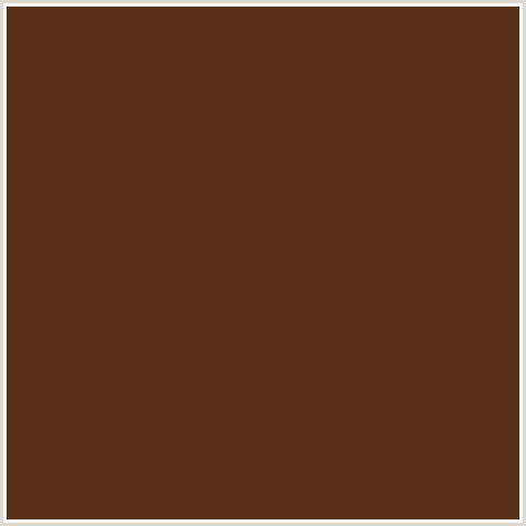 582F19 Hex Color Image (ESPRESSO, ORANGE RED)