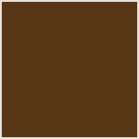 583716 Hex Color Image (BROWN, ORANGE, PUNGA)