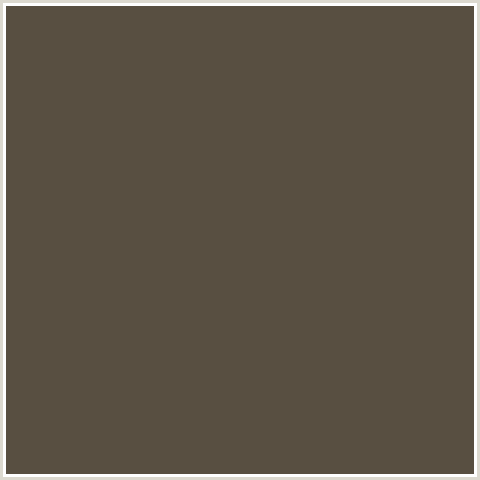 584F41 Hex Color Image (BROWN, KABUL, ORANGE)