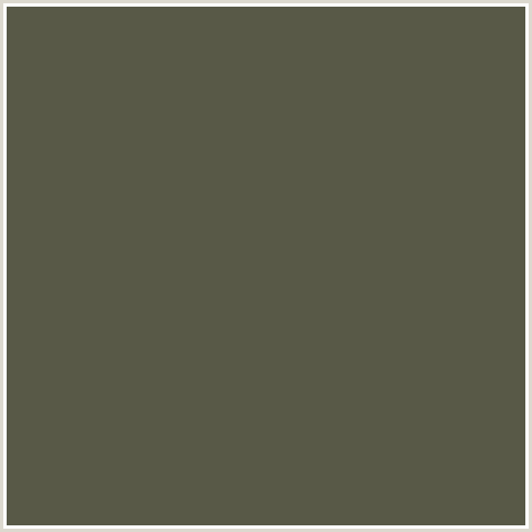 585947 Hex Color Image (FUSCOUS GRAY, YELLOW GREEN)