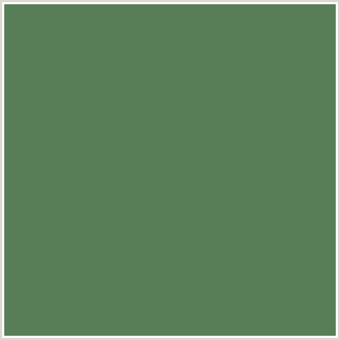 587E57 Hex Color Image (GLADE GREEN, GREEN)