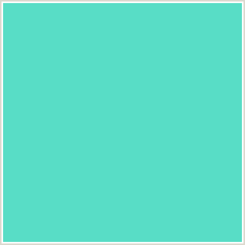 58DDC6 Hex Color Image (BLUE GREEN, VIKING)