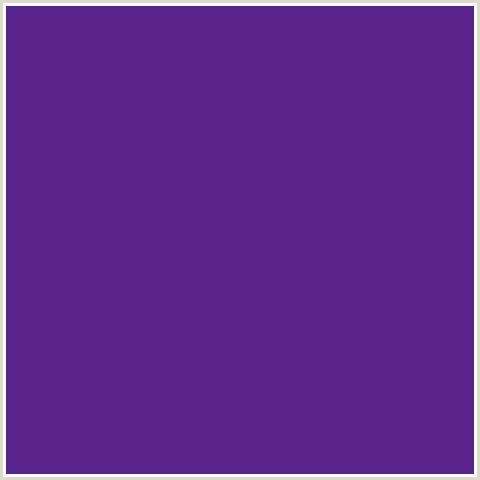 59238C Hex Color Image (DAISY BUSH, VIOLET BLUE)