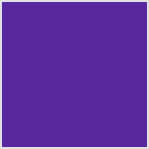 59289F Hex Color Image (BLUE VIOLET, DAISY BUSH)