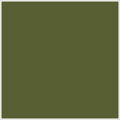 595F34 Hex Color Image (VERDIGRIS, YELLOW GREEN)