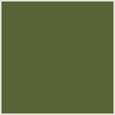 596438 Hex Color Image (GREEN YELLOW, VERDIGRIS)