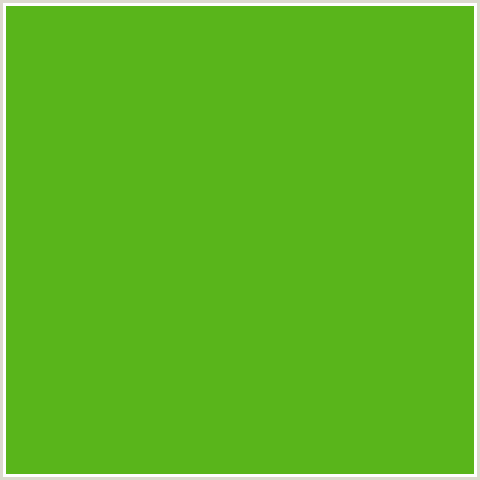 59B51B Hex Color Image (GREEN, LIMA)