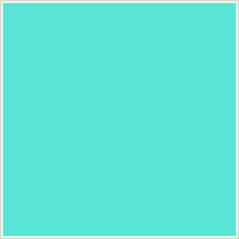 59E5D5 Hex Color Image (BLUE GREEN, TURQUOISE BLUE)