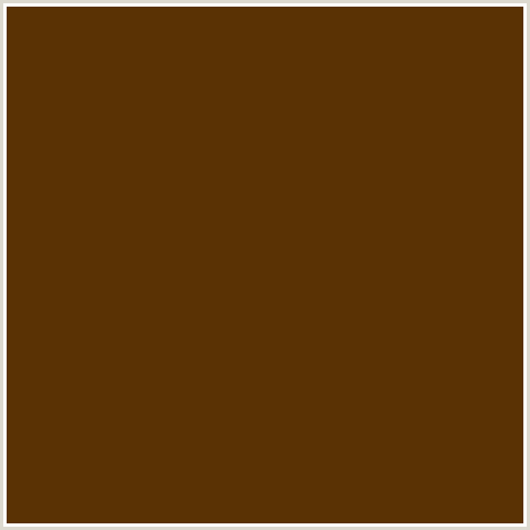 5A3204 Hex Color Image (BROWN, BROWN BRAMBLE, ORANGE)