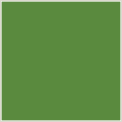5A8A3E Hex Color Image (FERN GREEN, GREEN)