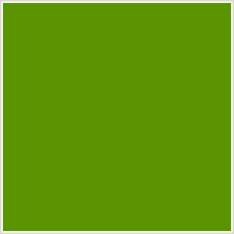 5A9403 Hex Color Image (GREEN YELLOW, LIMEADE)