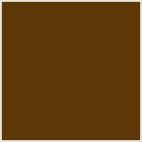 5B3806 Hex Color Image (BROWN, BROWN BRAMBLE, ORANGE)