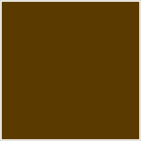 5B3A00 Hex Color Image (BROWN, ORANGE, SADDLE BROWN)