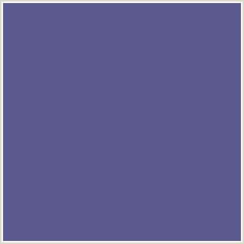 5B598F Hex Color Image (BLUE, WAIKAWA GRAY)