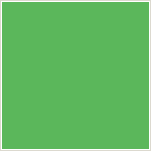 5BB75B Hex Color Image (FERN, GREEN)
