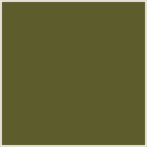 5C5C2C Hex Color Image (COSTA DEL SOL, YELLOW GREEN)