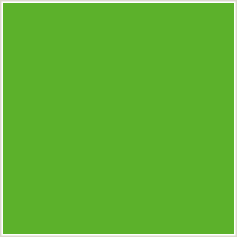 5CB12B Hex Color Image (GREEN, OLIVE DRAB)