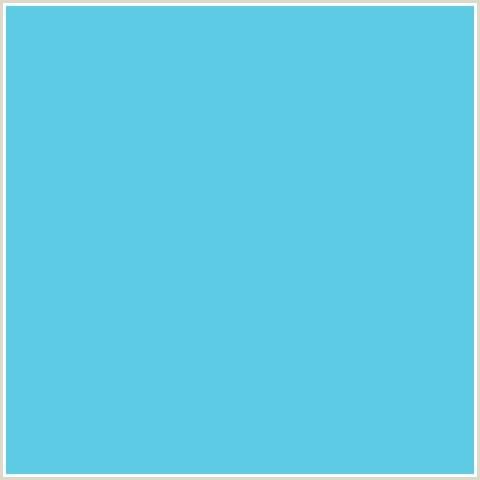 5CCBE3 Hex Color Image (LIGHT BLUE, TURQUOISE BLUE)