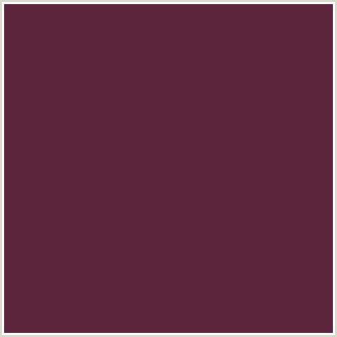 5D253C Hex Color Image (RED, TAWNY PORT)