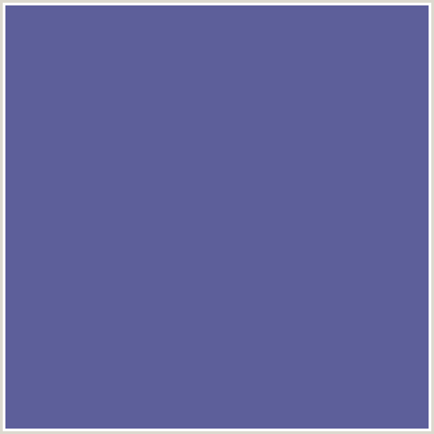 5D5F9A Hex Color Image (BLUE, WAIKAWA GRAY)