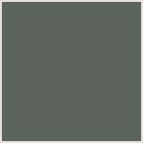 5D645B Hex Color Image (GREEN, WILLOW GROVE)
