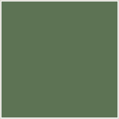 5D7354 Hex Color Image (CACTUS, GREEN)