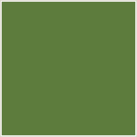 5D7C3D Hex Color Image (FERN GREEN, GREEN)