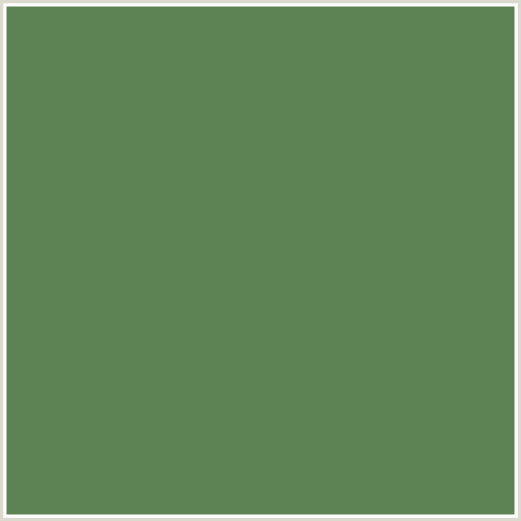 5D8253 Hex Color Image (GREEN, HIPPIE GREEN)