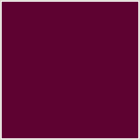 5E0231 Hex Color Image (BLACK ROSE, DEEP PINK, FUCHSIA, FUSCHIA, HOT PINK, MAGENTA)