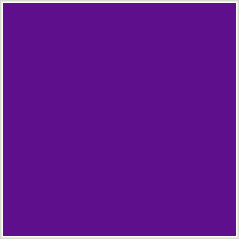 5E0F8B Hex Color Image (VIOLET BLUE, WINDSOR)